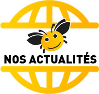 actualités de la rénovation énergétique